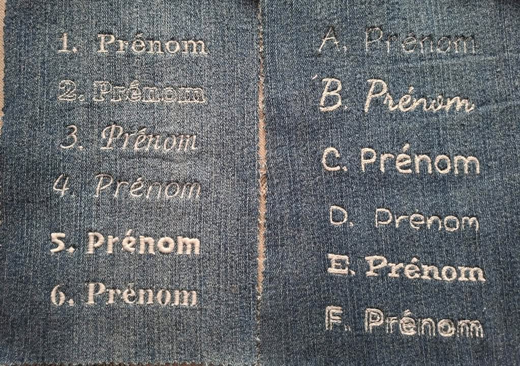 Protège carnet de santé – Image 2